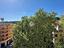 Immagine 13