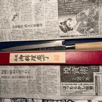 Coltello yanagiba da cucina