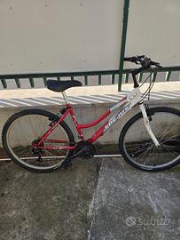 Bicicletta MTB Frejus