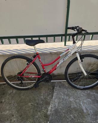Bicicletta MTB Frejus