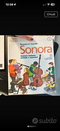 Sonora di Rosanna Castello - vol A B