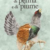 Di penna e di piume