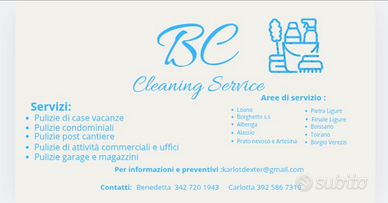 Servizi di Pulizia