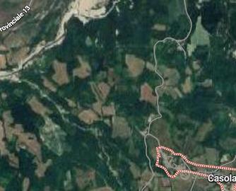 Terreni coltivabili e bosco di quercia