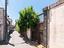 Immagine 24