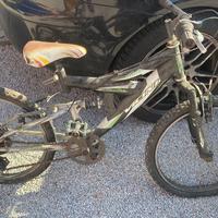 bici bimbo vicini da 20’