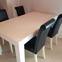 tavolo più 4 sedie in pelle 