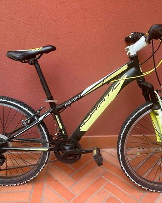 Mountain Bike Cicli Adriatica per ragazzi