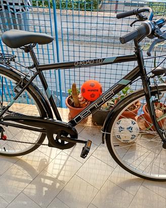 Bici 28 POLLICI 
