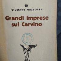 Grandi imprese sul Cervino (1934)