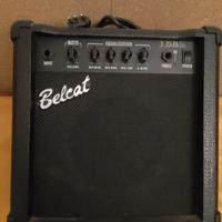 AMPLIFICATORE PER BASSO 15 WATT