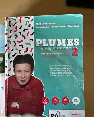 Libro Plumes 2