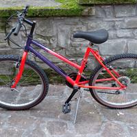 Bici MTB Cinzia Ruota 24 x 1,95 cambio Shimano