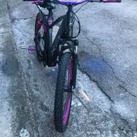 bicicletta elettrica 