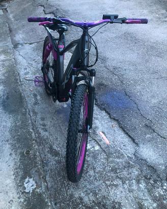 bicicletta elettrica 