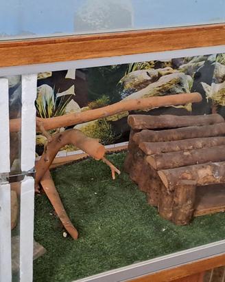 Terrario