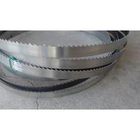 Ricambi: Lame per sega a nastro