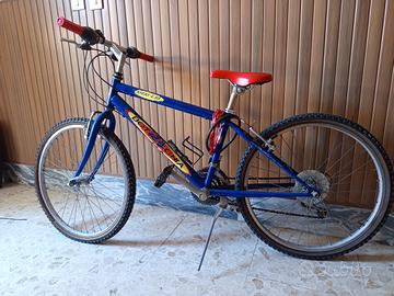 Mountain bike 24"