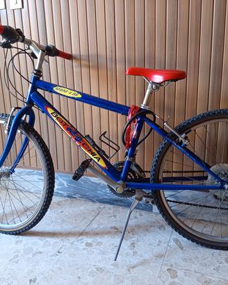 Mountain bike 24"