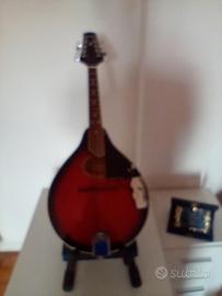 Mandolino elettrico 