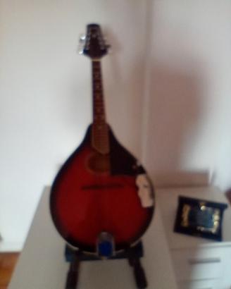 Mandolino elettrico 