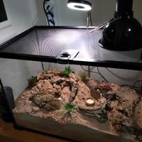 terrario reptizoo 50x30x25cm con alcuni accessori