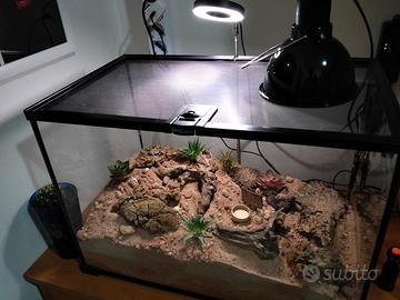terrario reptizoo 50x30x25cm con alcuni accessori
