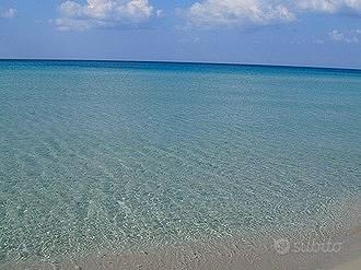 POSIDONIA - Il mio posto è il mare
