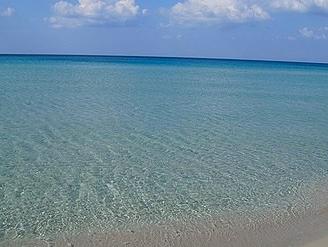 POSIDONIA - Il mio posto è il mare