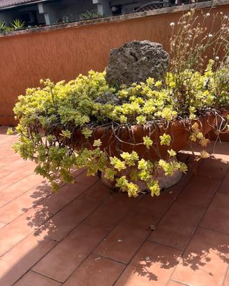 Grande Conca in Terracotta da Giardino