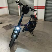 Reset Redwood 250w 36v