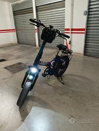 Reset Redwood 250w 36v