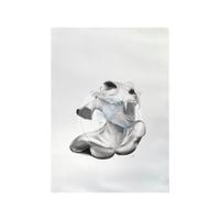 Disegno a matita di un ibrido, 50x70 cm