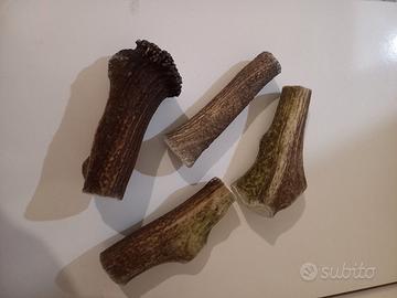 gioco per cani da masticare