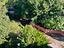 Immagine 30