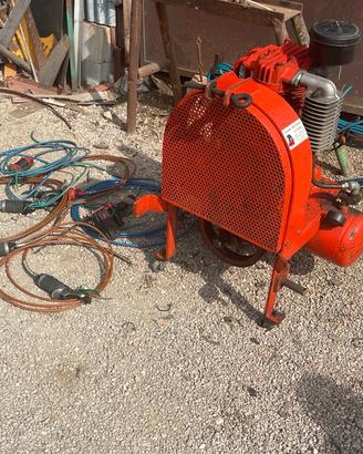 Compressore potatura 30 litri e accessori forbice