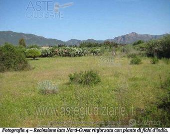 Terreno Agricolo Villa San Pietro [A2798369]