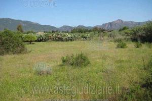 Terreno Agricolo Villa San Pietro [A2798369]