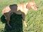 Immagine 2