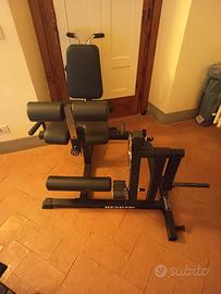 king's Gym, leg extension / curl 100kg