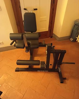 king's Gym, leg extension / curl 100kg