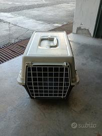 gabbietta gatto cane piccolo 