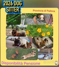 Pet servizi