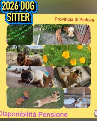 Pet servizi
