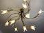 Immagine 3