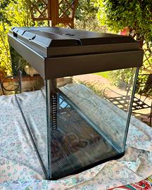 Acquario 140 lt.Marca Askoll completo di accessori