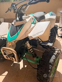 mini quod eletrrico