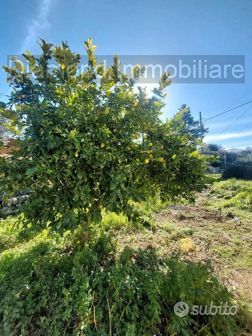 Casa di campagna con terreno a Verzella - Altro