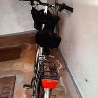 Bici donna