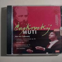 CD Cajkovskij, Muti